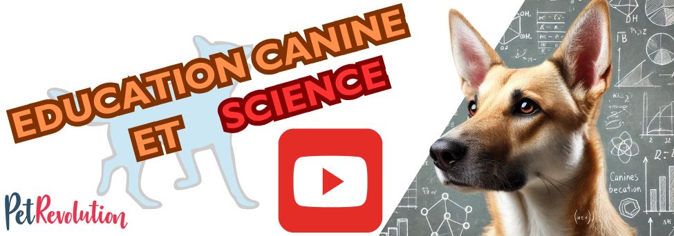educateur canin comportementaliste montpellier gard herault Nouvelle vidéo YouTube : science et éducation canine