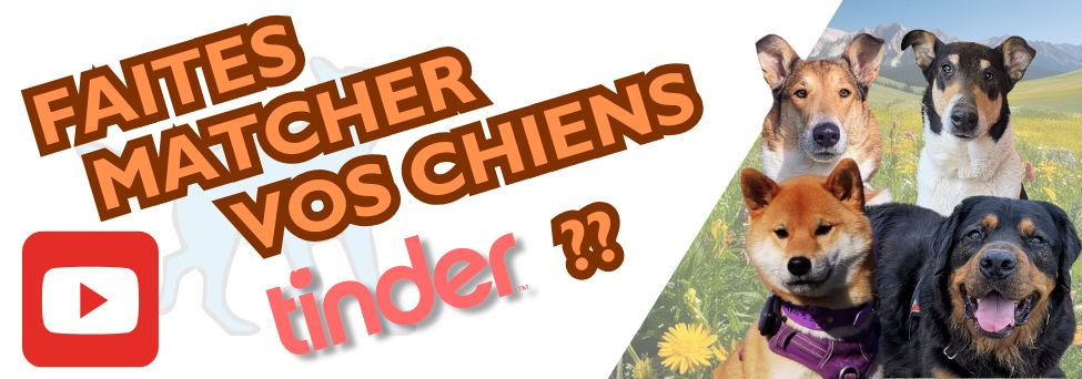 educateur canin comportementaliste montpellier gard herault Nouvelle vidéo YouTube : rencontres entre chiens