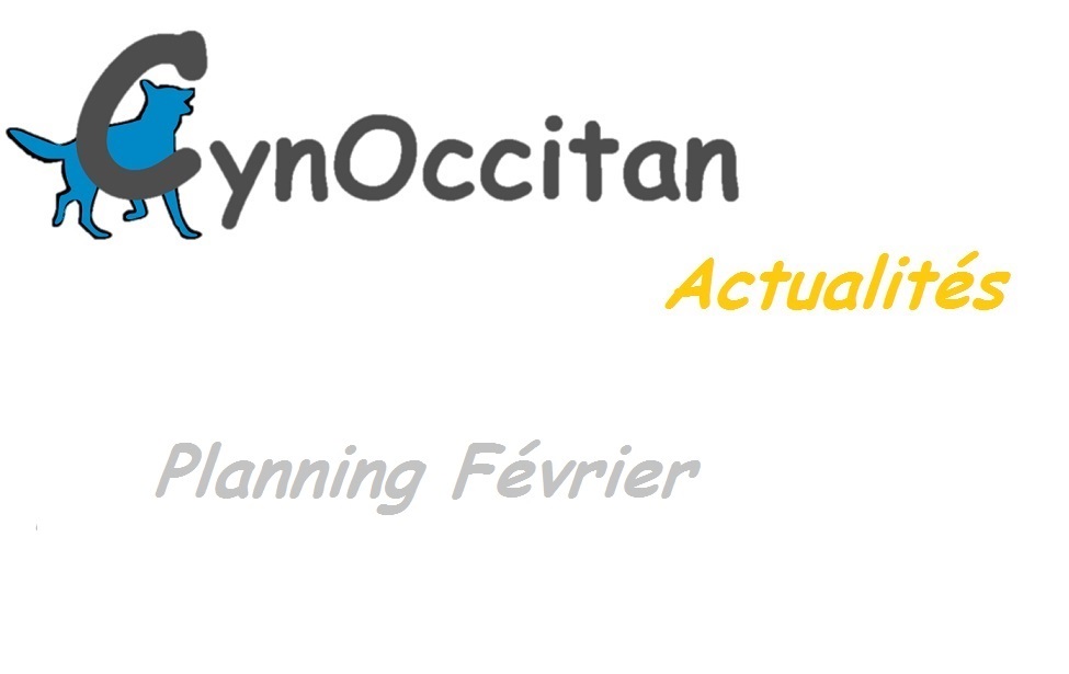 educateur canin comportementaliste montpellier gard herault Planning de Février 2026