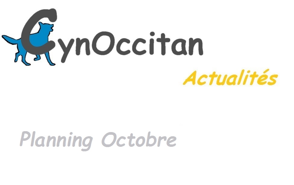 educateur canin comportementaliste montpellier gard herault Planning d'Octobre 2024