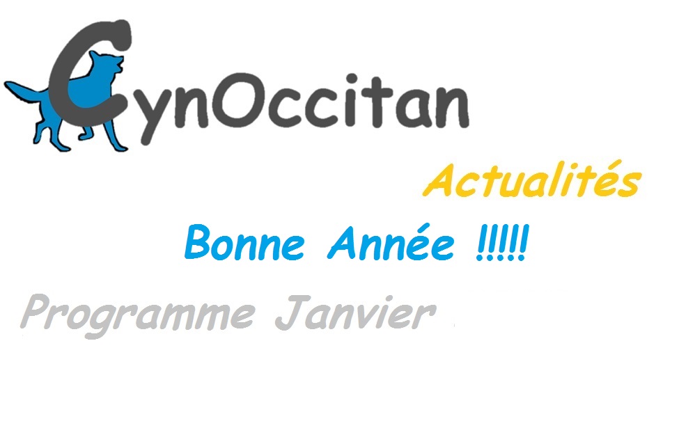 educateur canin comportementaliste montpellier gard herault Bonne Année ! Planning de Janvier 2026