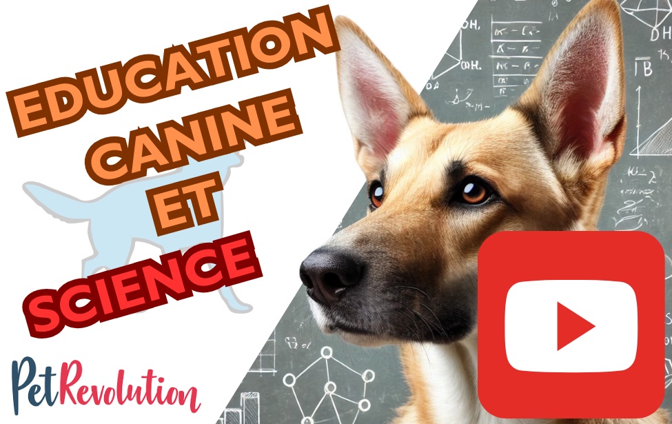 educateur canin comportementaliste montpellier gard herault Nouvelle vidéo YouTube : science et éducation canine
